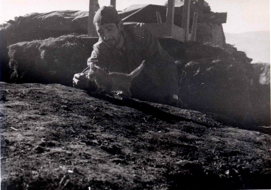 foto en la que un soldado en una trinchera intenta acariciar a un gatito